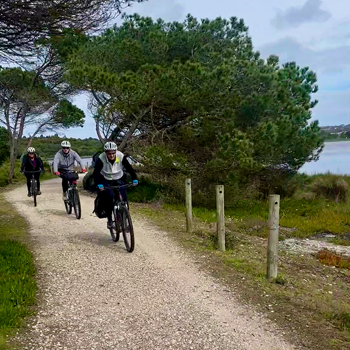 Group of cyclists following a gravel path through coastal pine trees