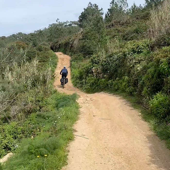 Cyclist riding a quiet gravel path through coastal vegetation