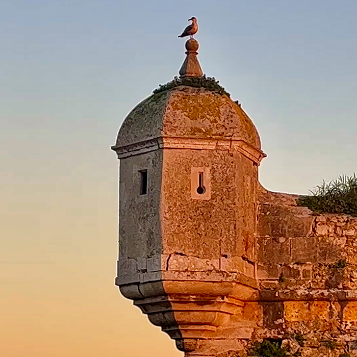 Historic stone turret glowing in the late afternoon light