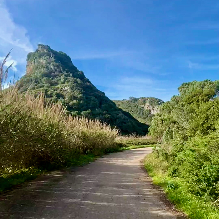 Quiet paved road winding between dramatic green hills