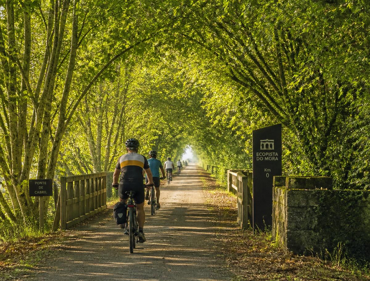 Cyclists on a shaded ecopista, a former railway turned bike lane